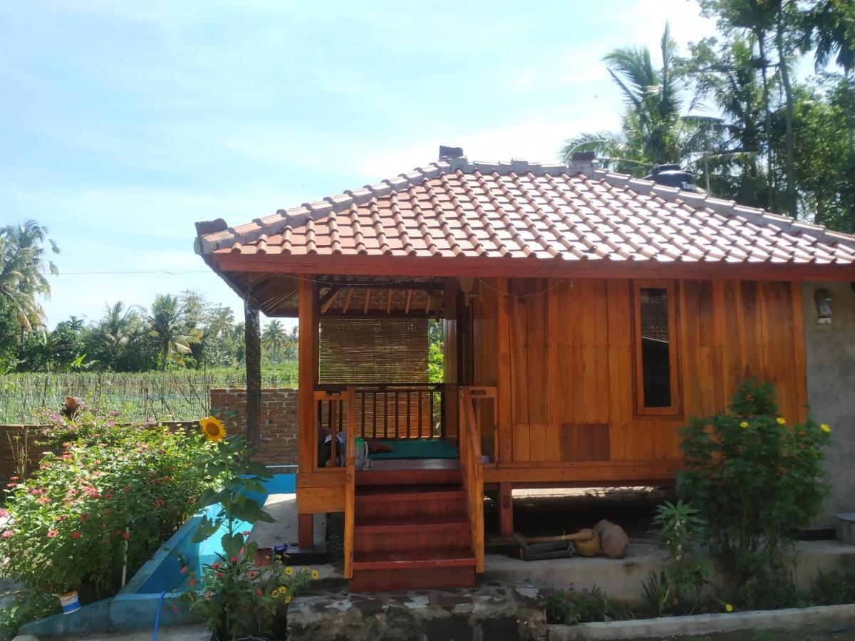 Homestay Provok Sangyang