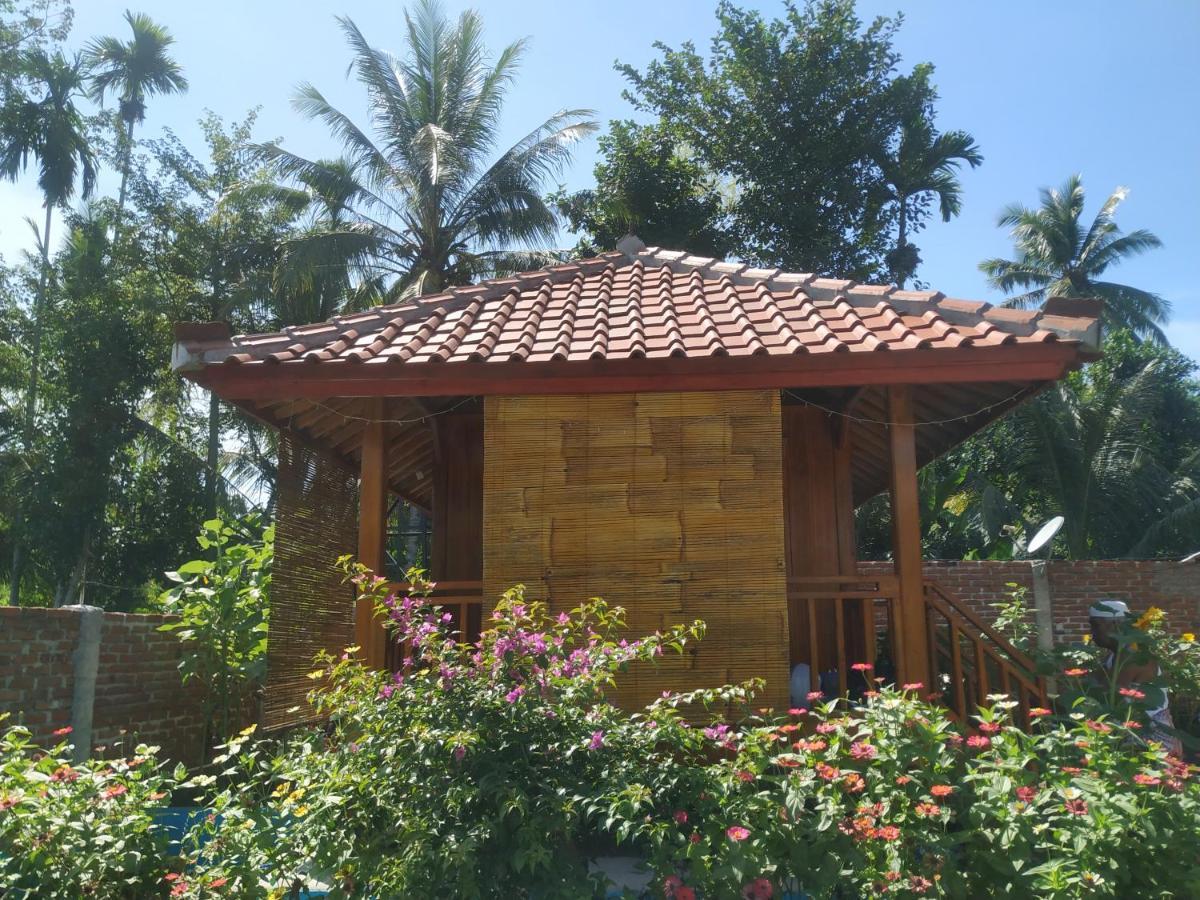 Homestay Provok