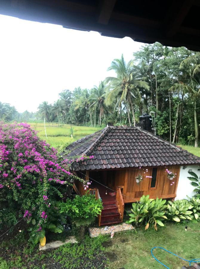 Provok Homestay Sangyang